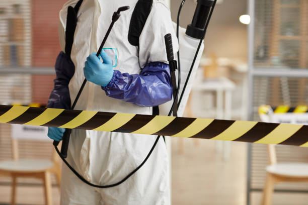 Professional Sewage Cleanup technician working in Garden City, MO
